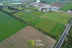 Roma - Via Salaria - Terreno di 10 ha. | TR387