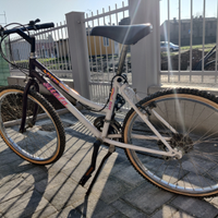 Bici da ragazza 24 15