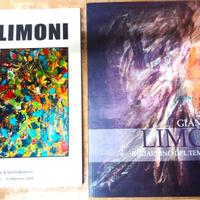 GIANCARLO LIMONI-MONOGRAFIA IL GIARDINO DEL TEMPO