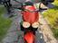 Immagine 3
