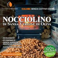 Nocciolino di oliva premium
