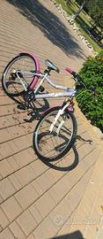 Bici misura 24
