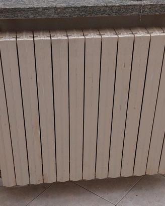 Termosifone ghisa 13 elementi