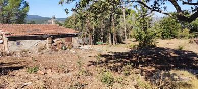 Rudere e terreno in collina