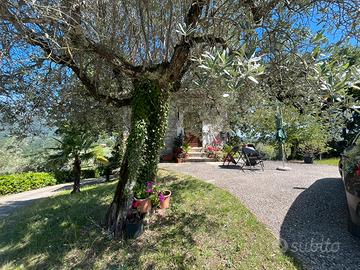 Relax nell uliveto dei Borghi Sabini