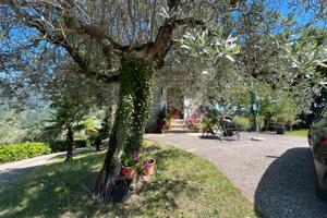 Relax nell uliveto dei Borghi Sabini