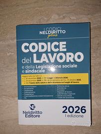 Codice di Diritto del lavoro 2026 Nel Diritto