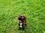 Immagine 4
