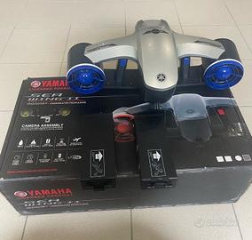 Yamaha Sea Wing 2