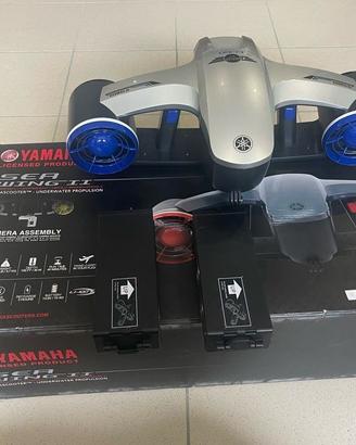 Yamaha Sea Wing 2