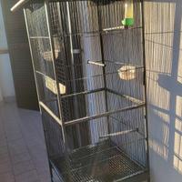 gabbia per uccelli 