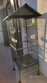 gabbia per uccelli 
