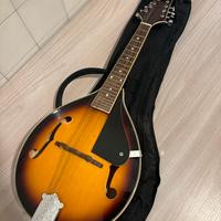 Mandolino Soundsation MA-40