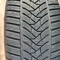 GOMME INVERNALI Dunlop Winter Sport5 - 55/45 R19  