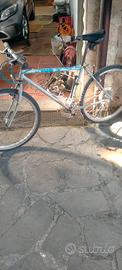 Mountain bike Cinelli Argentovivo 