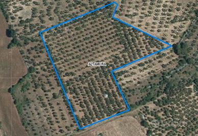 Terreno su SP 18 per Cassano