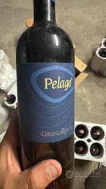 Vino pregiato UMANI RONCHI PELAGO MARCHE IGT 1998