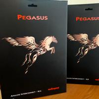 AUDIOQUEST PEGASUS