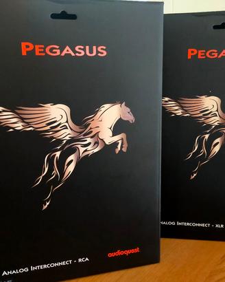 AUDIOQUEST PEGASUS