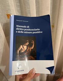 Libro manuale di diritto penitenziario di troncone