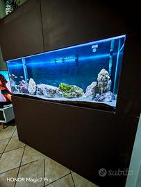 Acquario 550 litri
