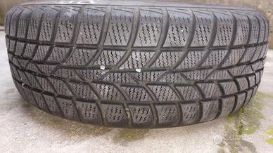 Cerchi con gomme invernali