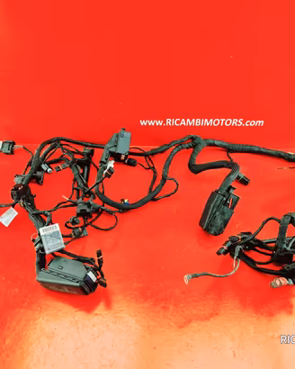 IMPIANTO ELETTRICO SENSORE BMW F800R