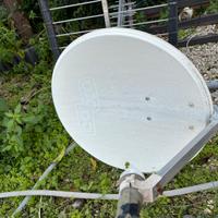 Antenna con parabola cobra