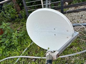 Antenna con parabola cobra