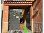 Immagine 26