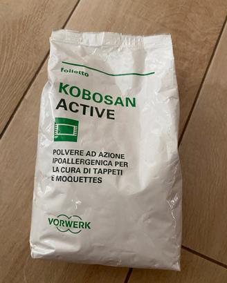 POLVERE PER TAPPETI E MOQUETTES