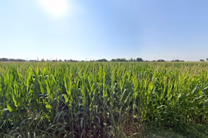 Terreno di 7330 m² a Castiglione delle Stiviere
