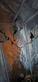 Serra indoor/Grow tent