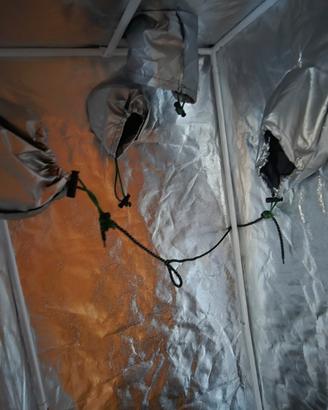 Serra indoor/Grow tent