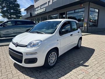 FIAT Panda 1.0 FireFly S&S Hybrid POP KM0 PROMO