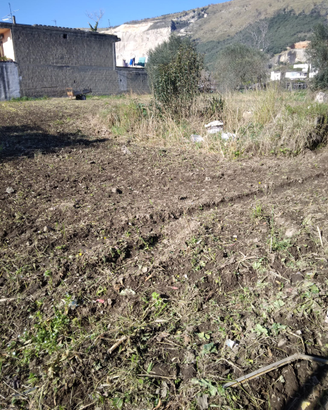 Terreno fronte strada