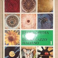 Enciclopedie vintage