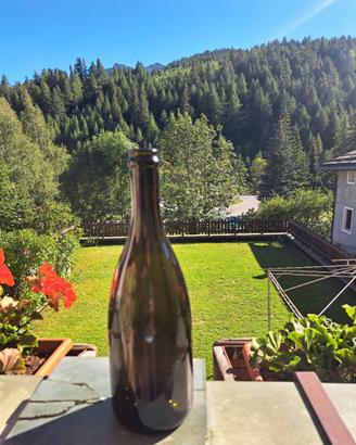 Bottiglie da vino da 0,75  lt