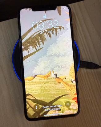 Iphone xs max 256gb rosa oro