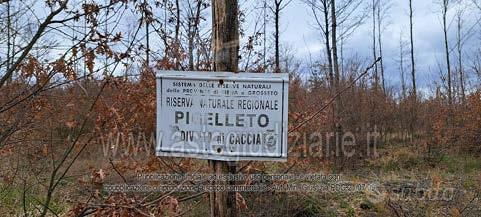 Terreno Agricolo Piancastagnaio [A4345769] - Vista 5