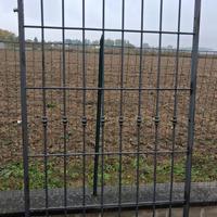 Griglia di protezione do ferro