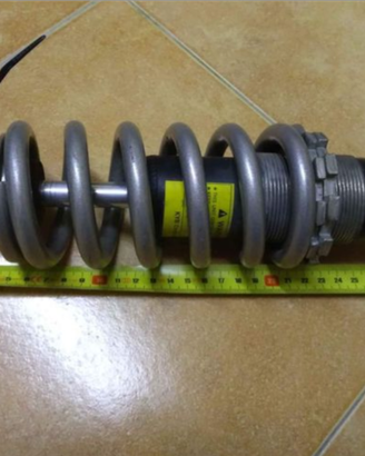 Sospensione moto Triumph