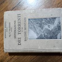 Sistemazione dei torrenti e dei bacini montani