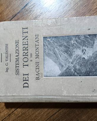 Sistemazione dei torrenti e dei bacini montani