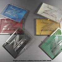 Griglia protezione radiatore Kawasaki Z800 Z800E