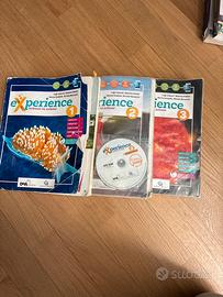 Experience 1/2/3