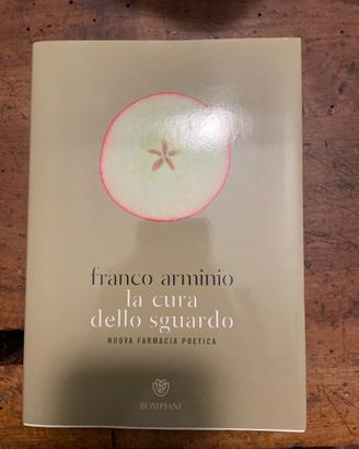 Libro poesie Franco Arminio
