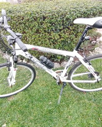 Bici da uomo