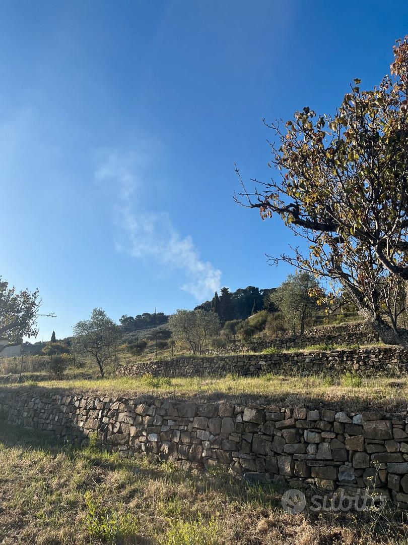 Terreno con progetto approvato Villa Unifamiliare - Vista 4