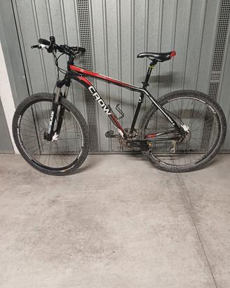 Bici mountain bike 29